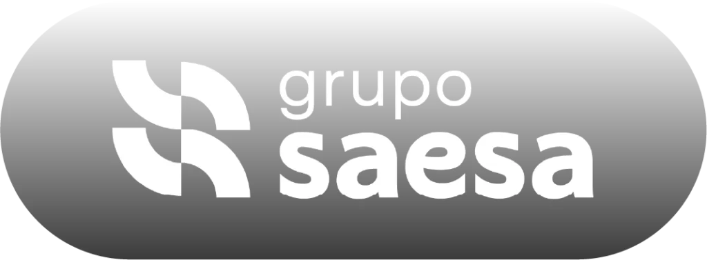 Grupo Saesa